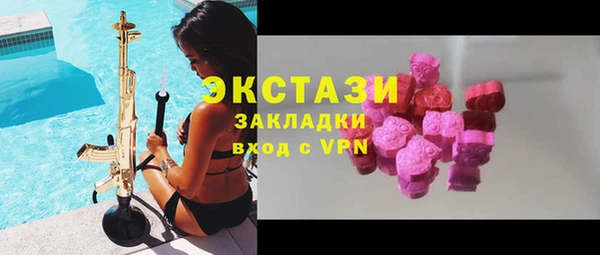 гашик Костерёво