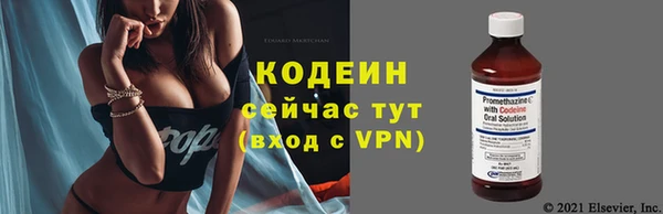 гашик Костерёво