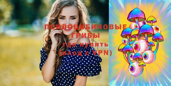 экстази Козловка