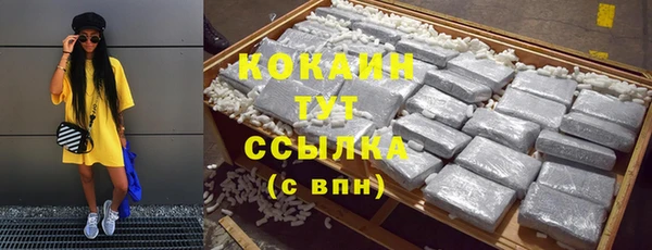 гашик Костерёво