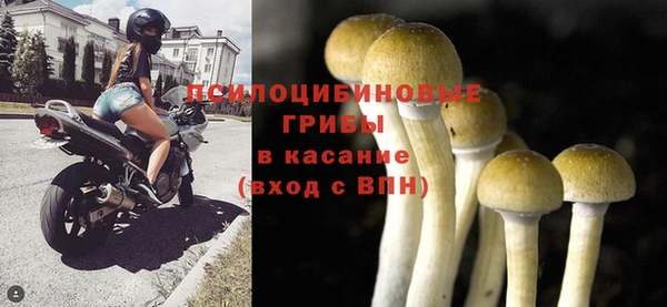 прущая мука Коряжма