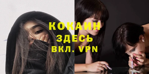 гашик Костерёво