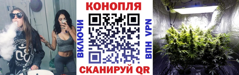 цена наркотик  Кувшиново  Канабис Ganja 